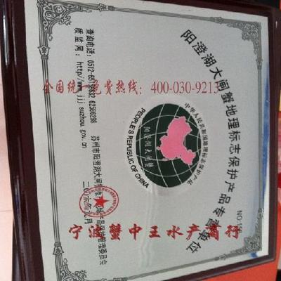 宁波阳澄湖大闸蟹专卖店 礼券礼盒买六送一，正宗有保障